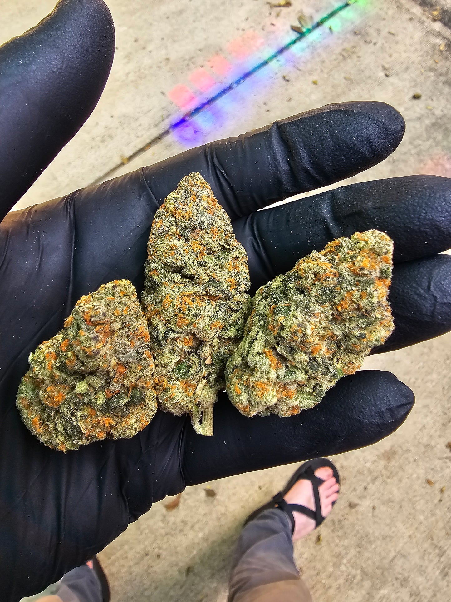 Blueberry Pancakes