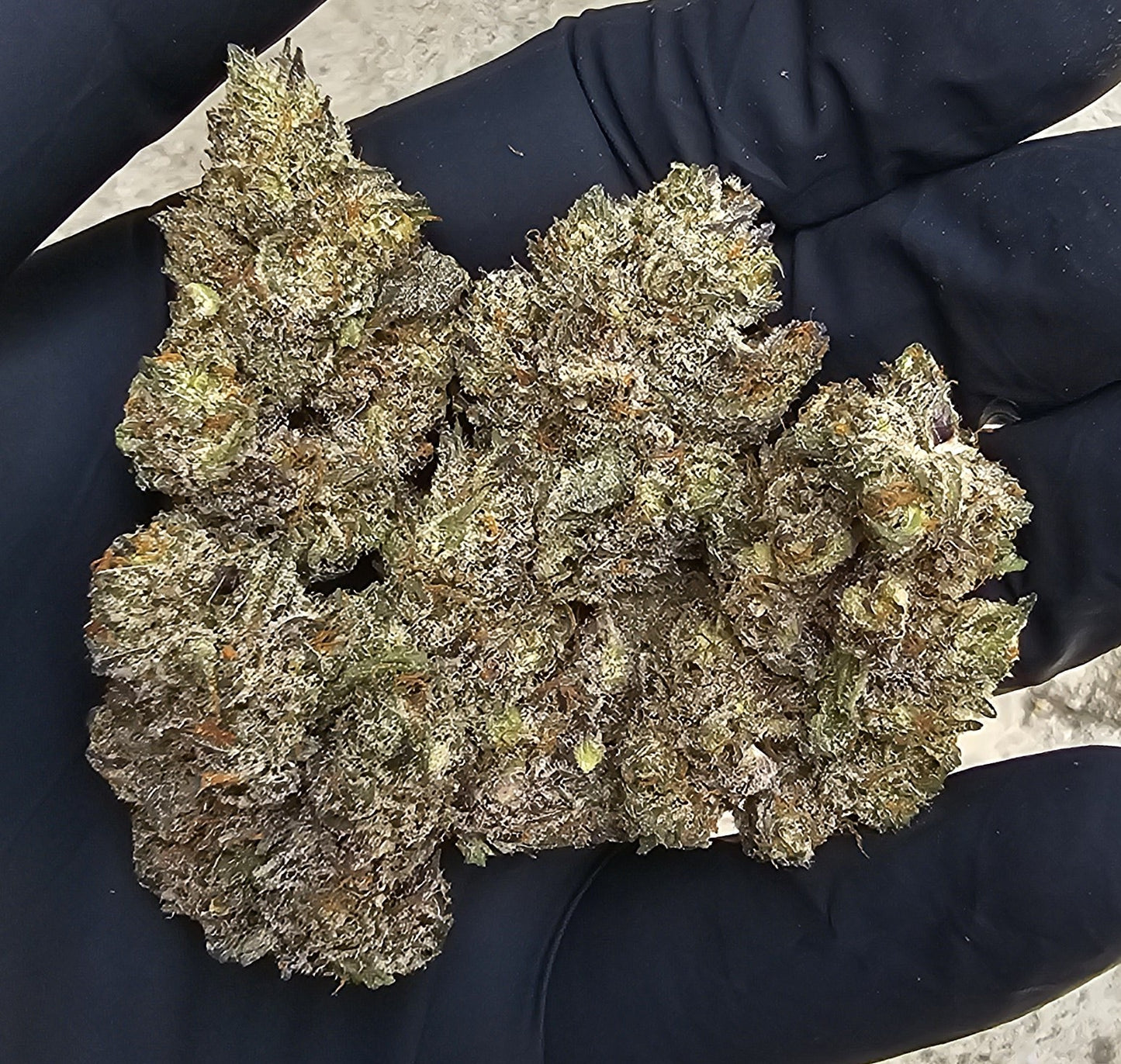 BLACK CHERRY GARLIC- DIGGITY FARMS
