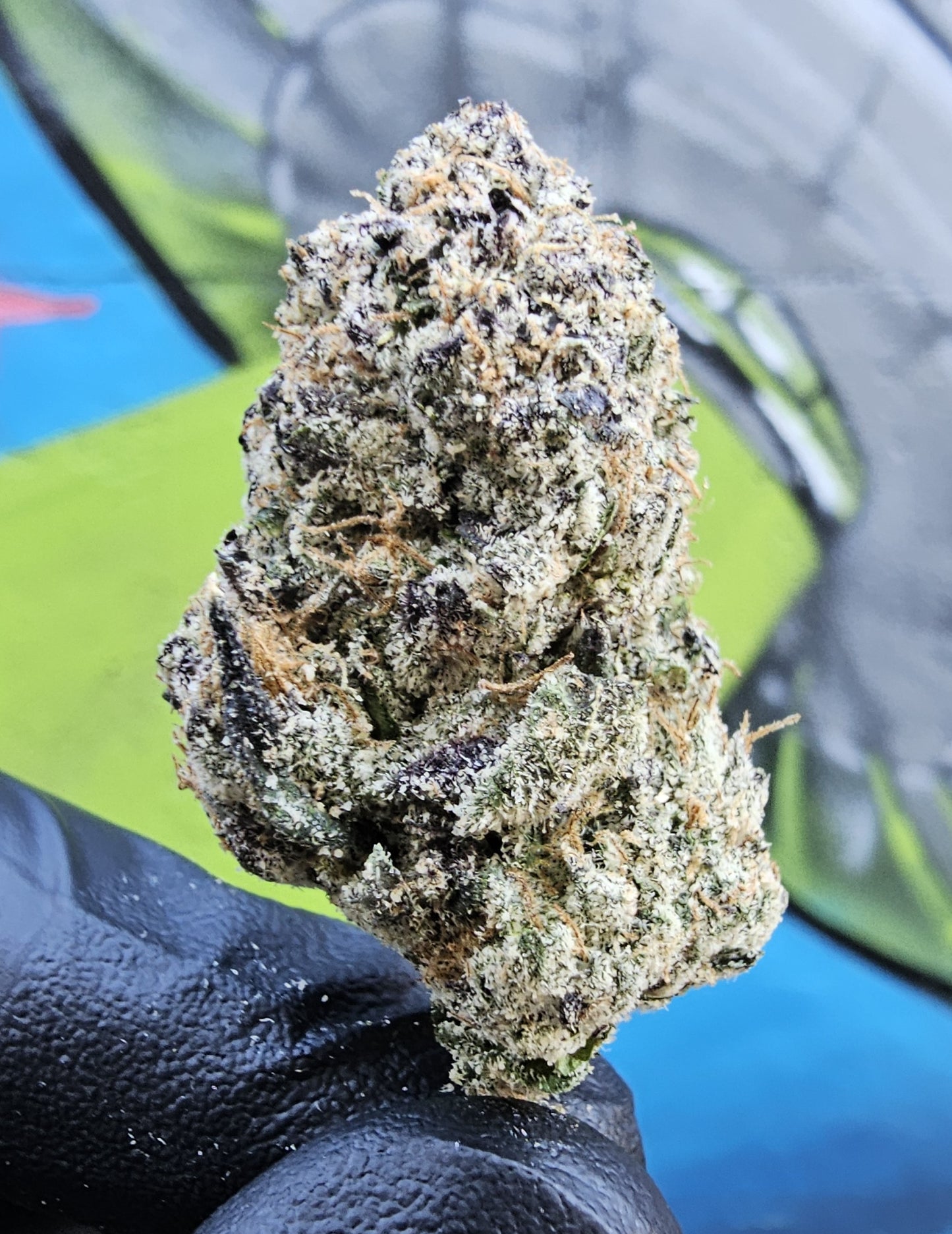 BLUE NERDS- SOG ARMY FARMS