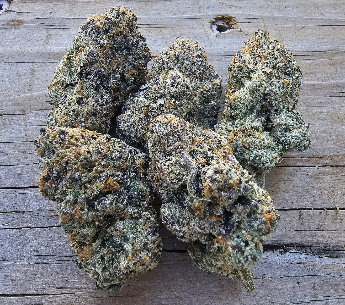 BLUE NERDS- SOG ARMY FARMS