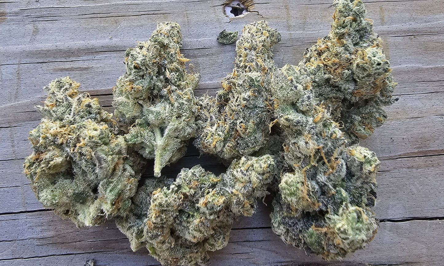 Kush Mintz- Diggity Farms