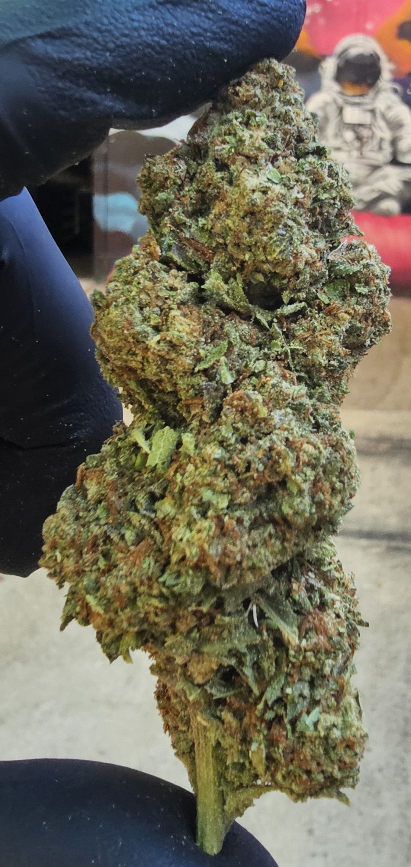BLUE CITY DIESEL