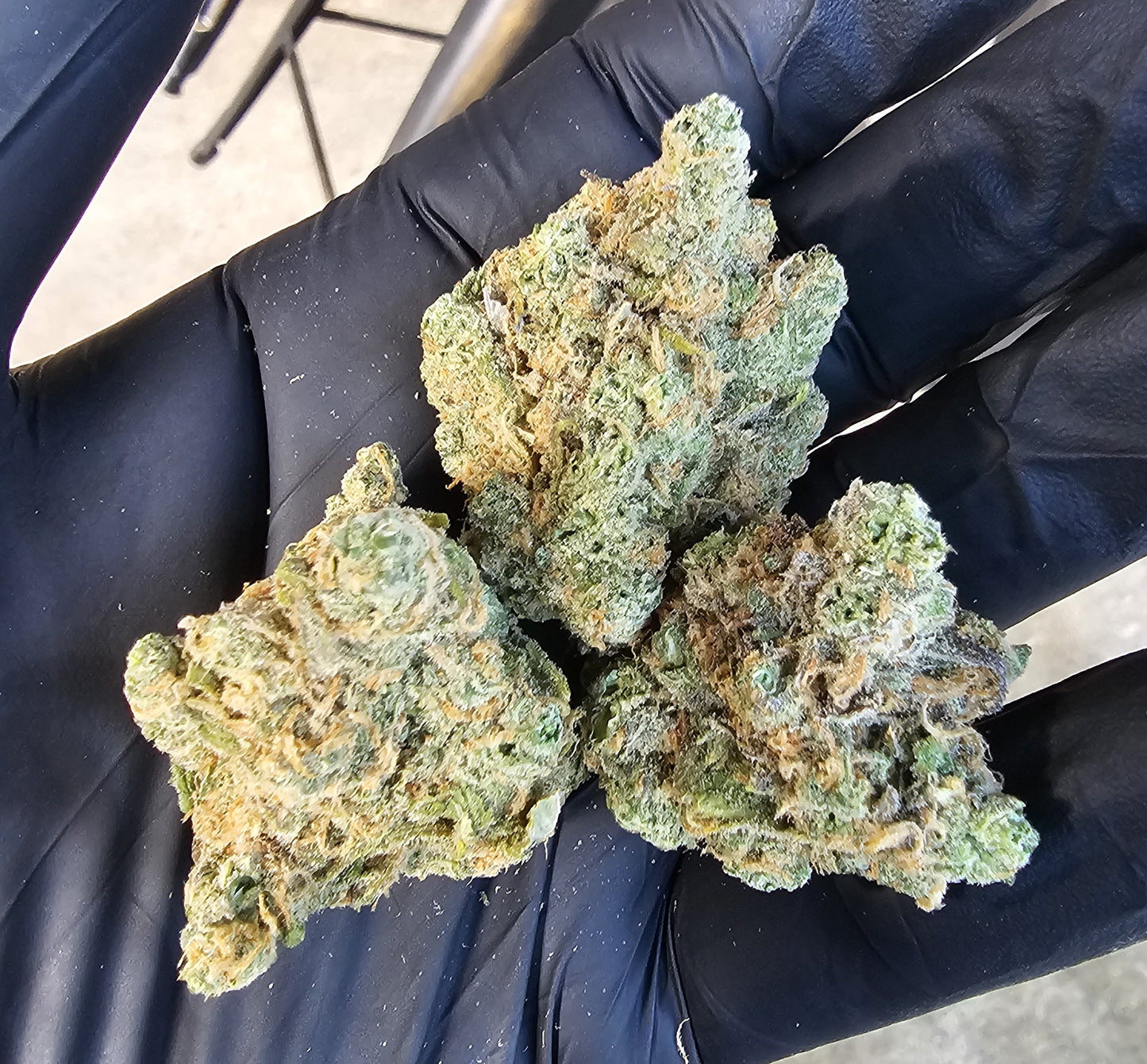 Blue Skunk- Diggity Farms