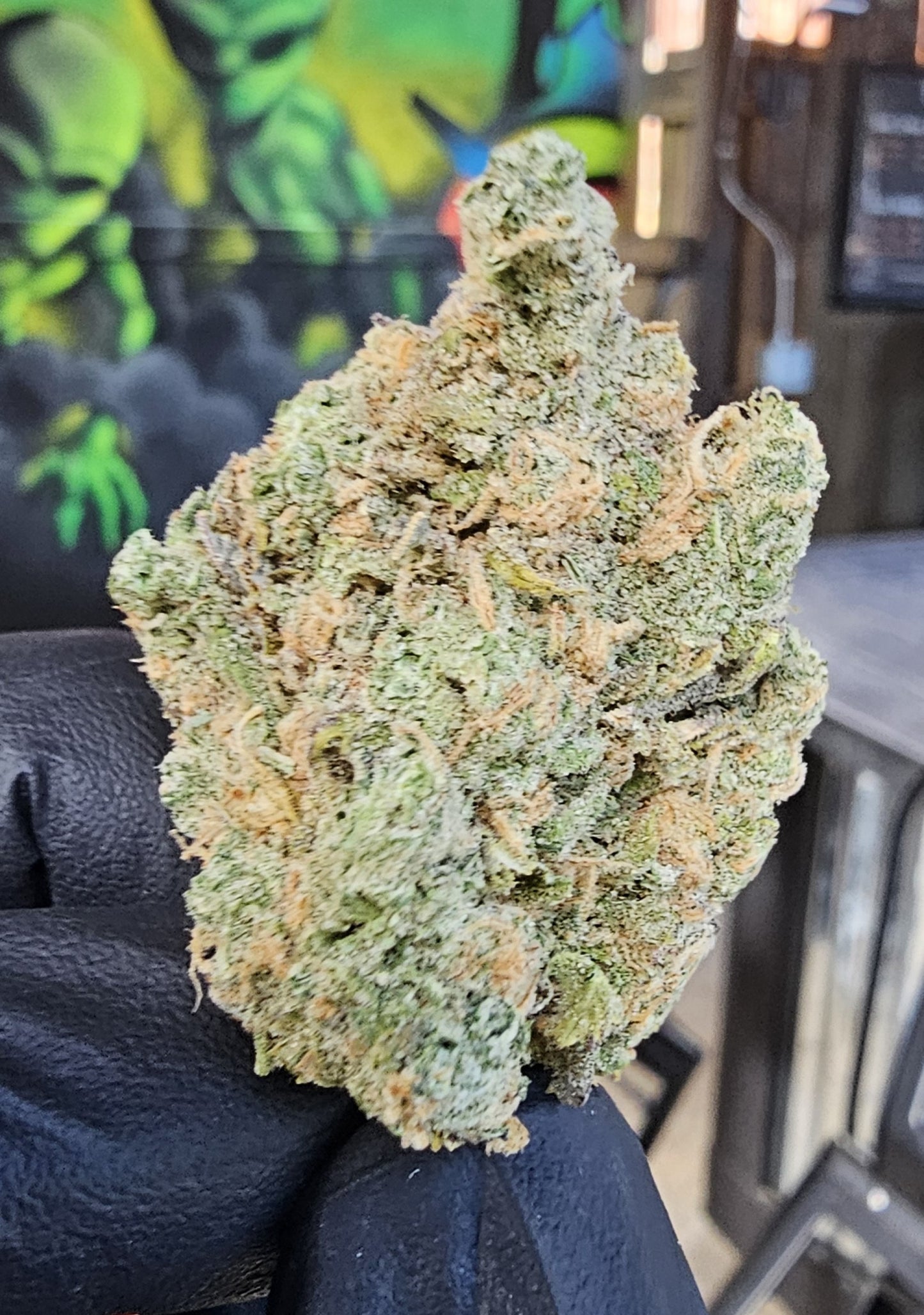Blue Skunk- Diggity Farms