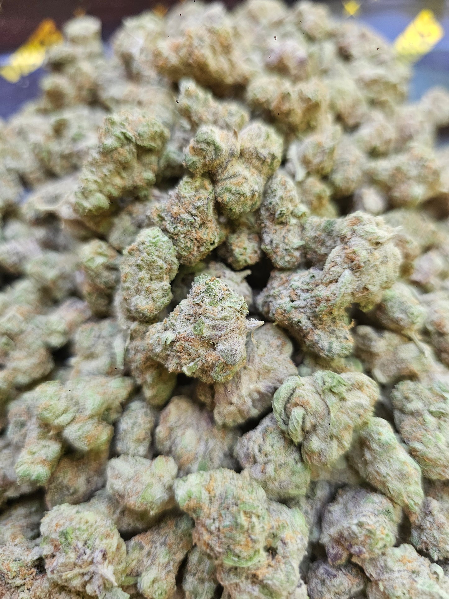 Sweet Tarts (smalls)