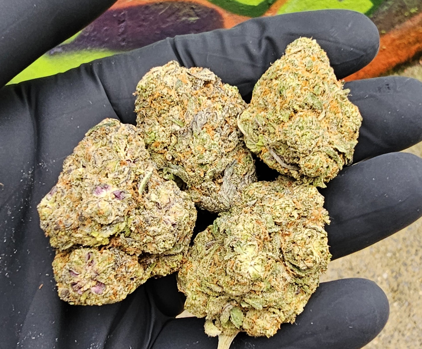 Black Cherry Runtz