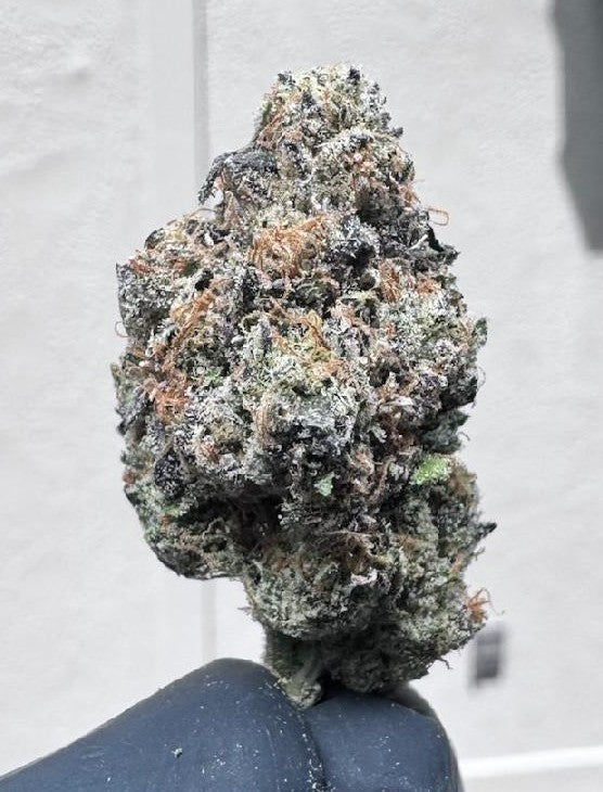 Space Candy- SOG ARMY