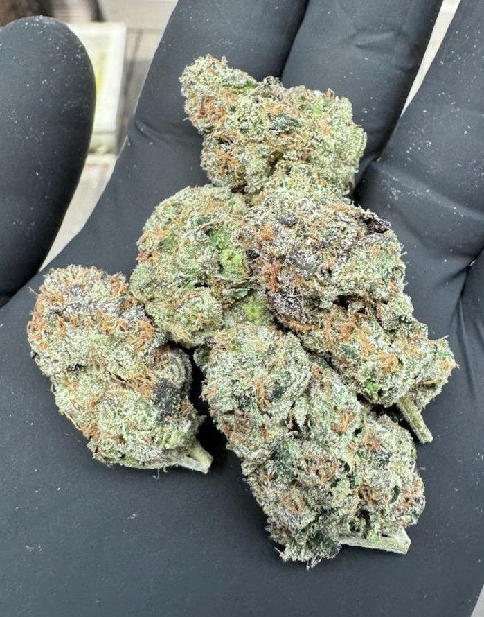 Space Candy- SOG ARMY