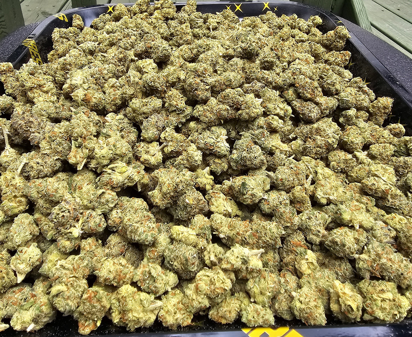 BANANA COOKIES smalls