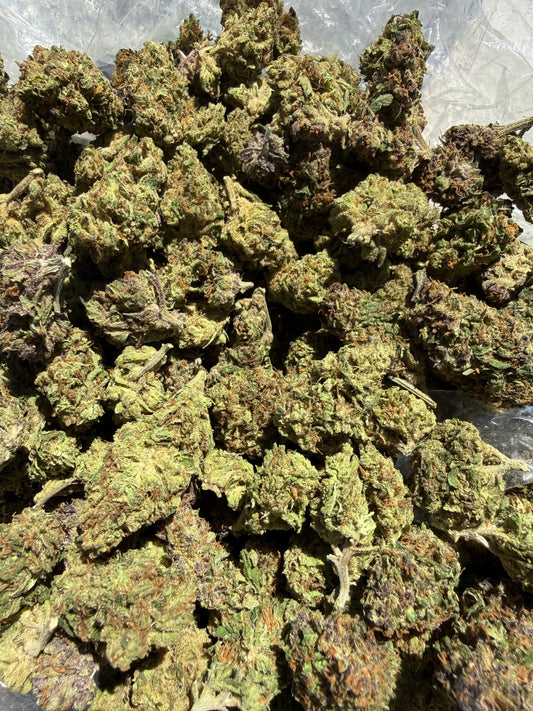 Blockhead x Trainwreck (H) Greenhouse Smalls