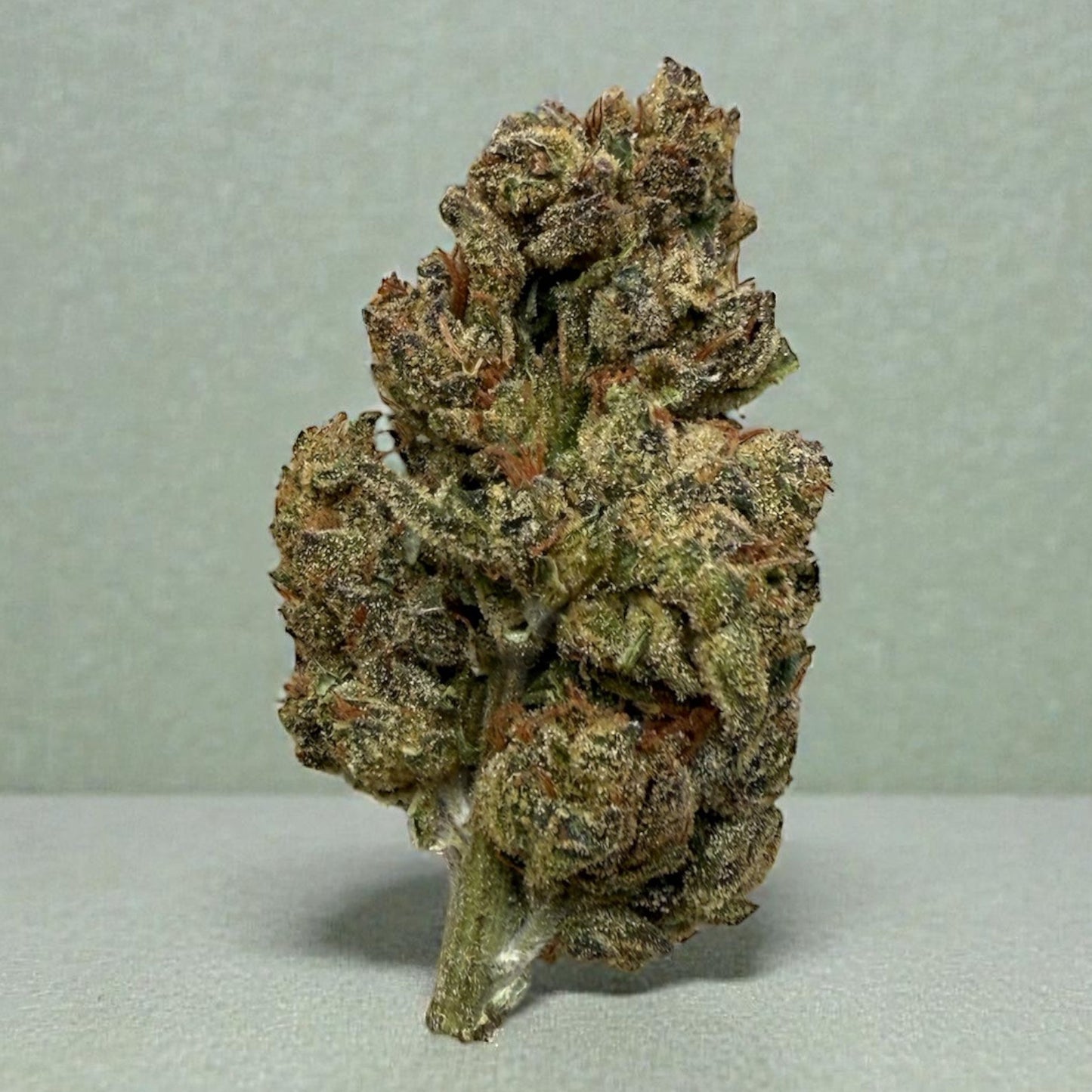 Hash Burger (GH) 29.79%