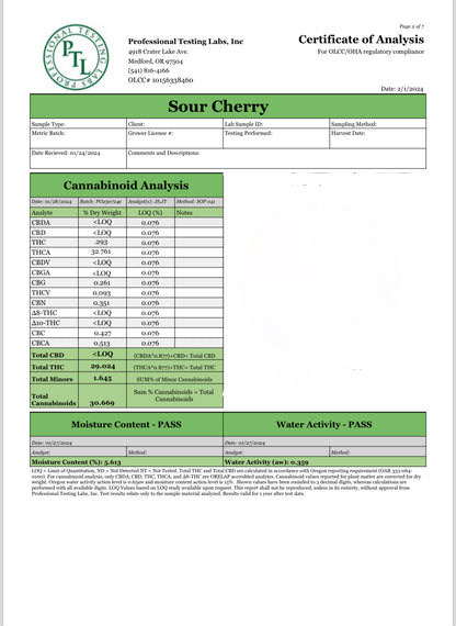 SOUR CHERRY