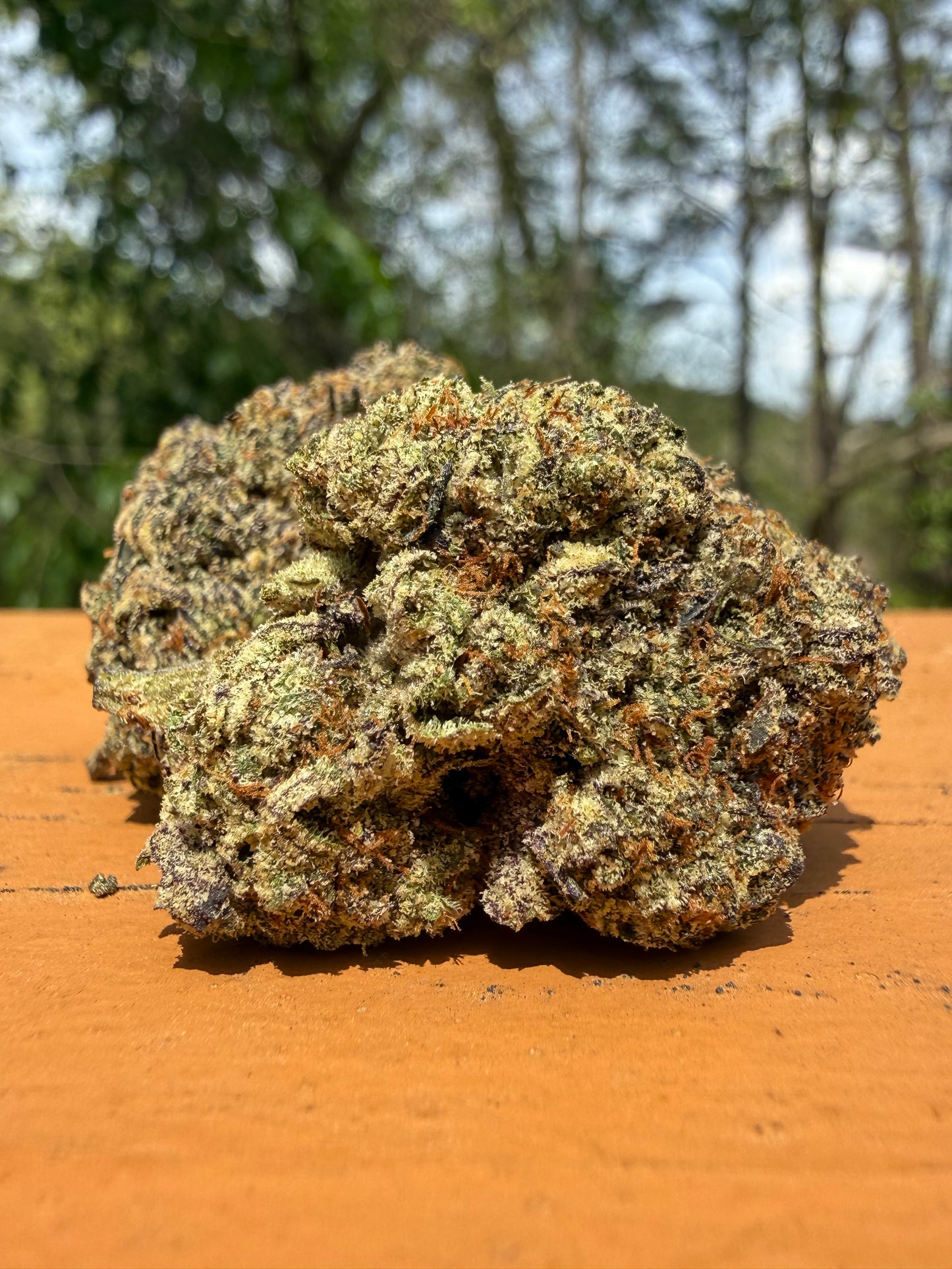 Lipstain Runtz -Indoor-