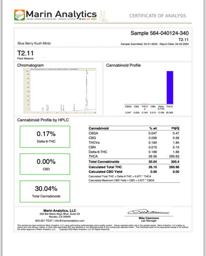 Blueberry Kush Mintz