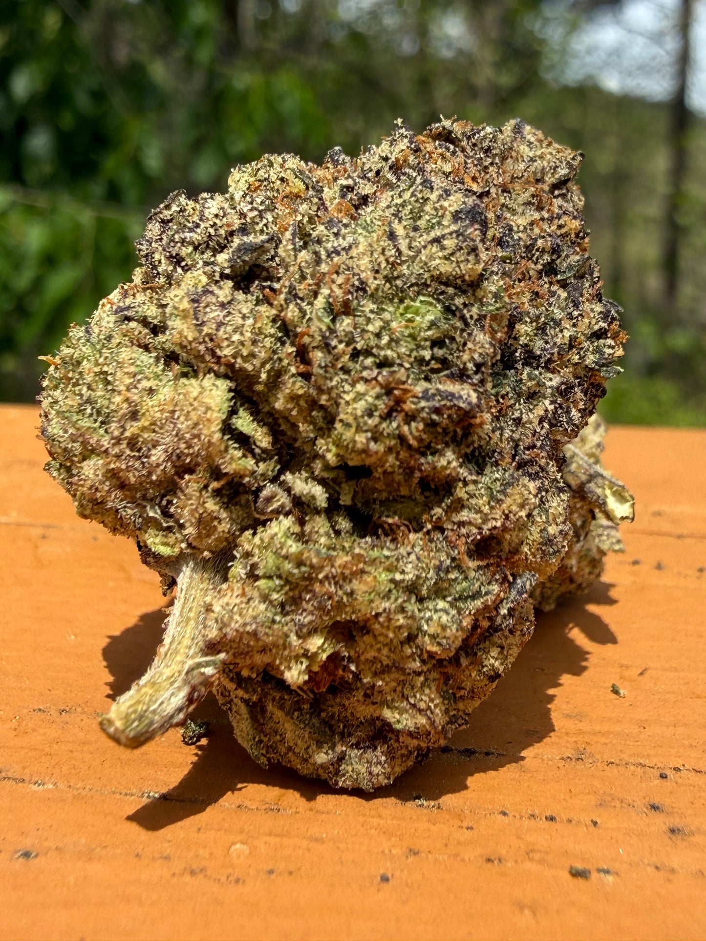 Lipstain Runtz -Indoor-