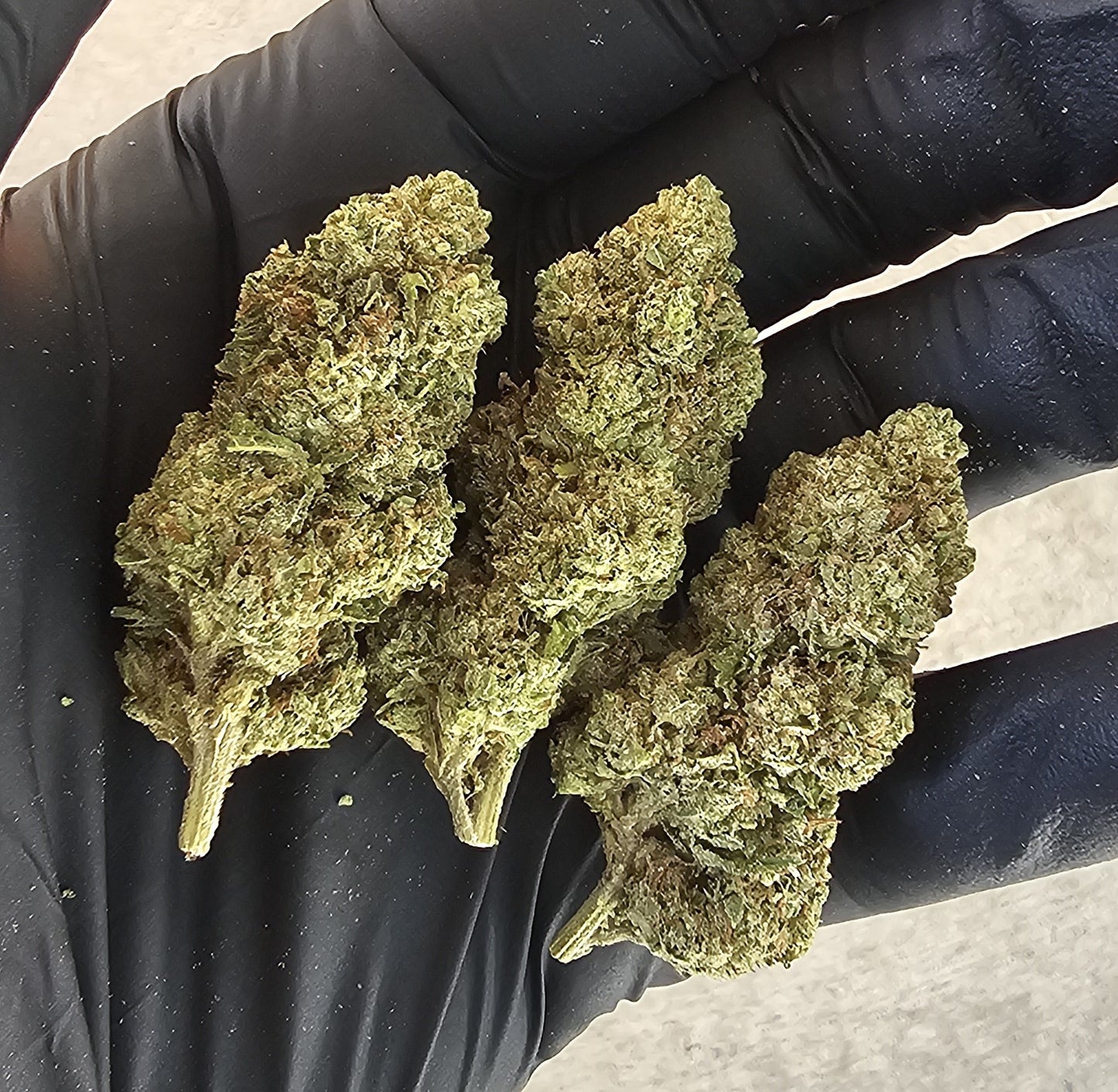 BLUE LEMONADE