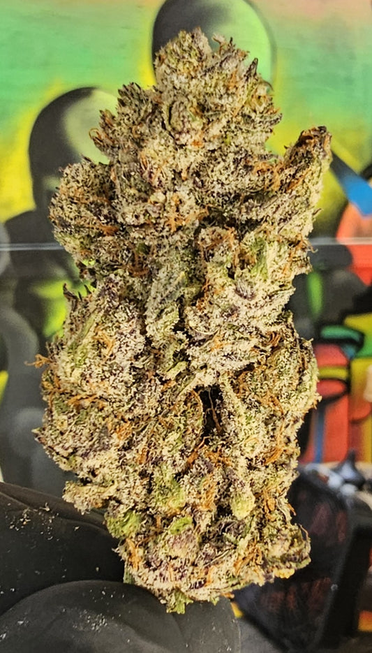 BLACK CHERRY GARLIC- DIGGITY FARMS