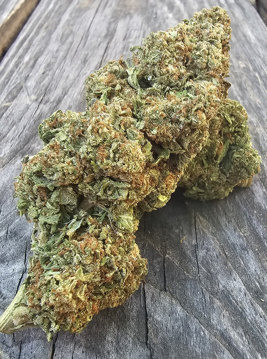 BLUE CITY DIESEL