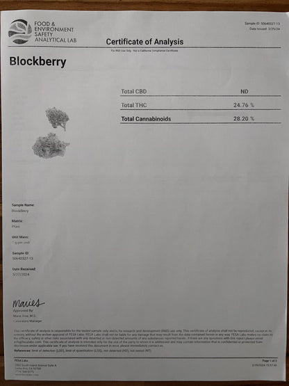 BLOCKBERRY