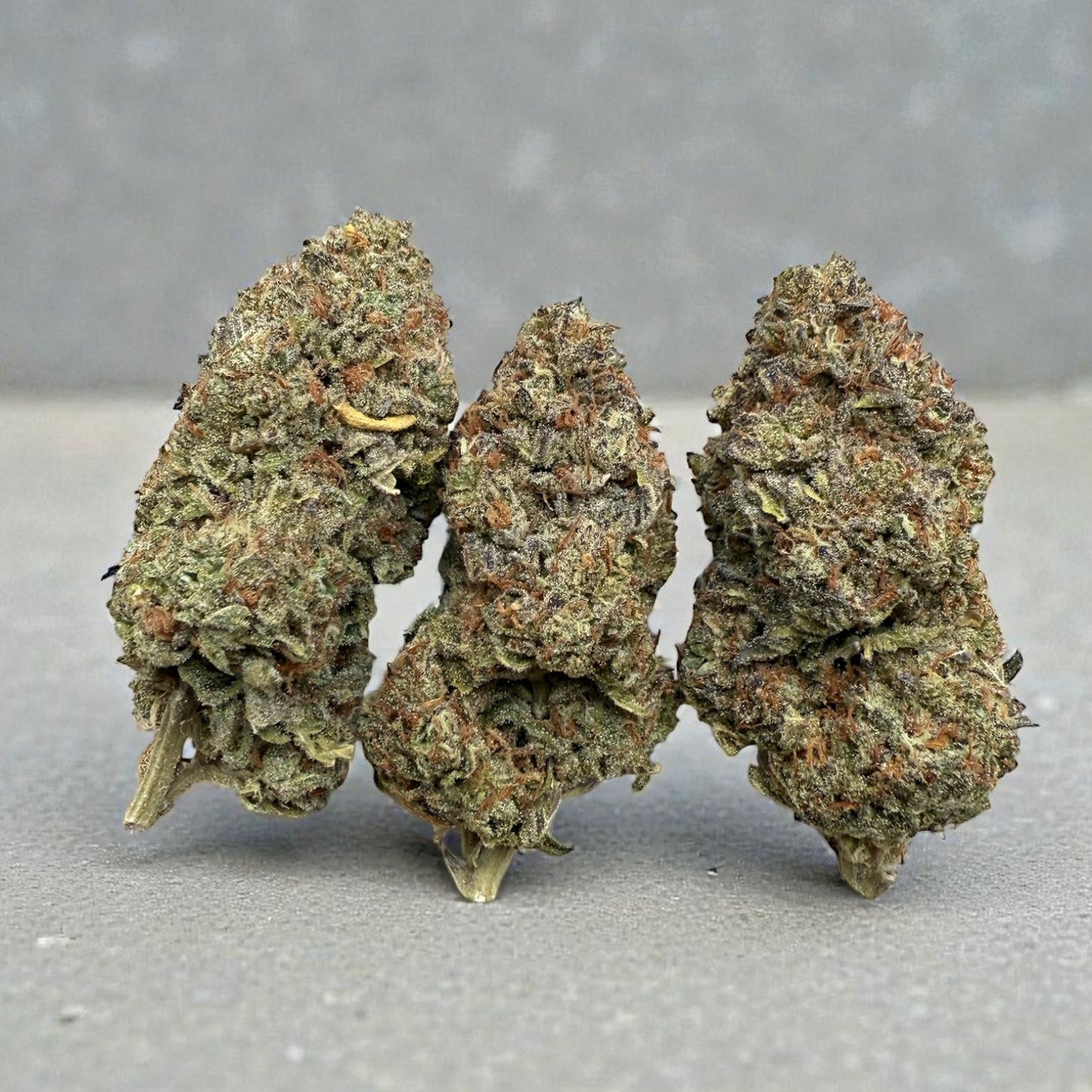 Ice Cream Fruity Pebbles (GH) 35.45%