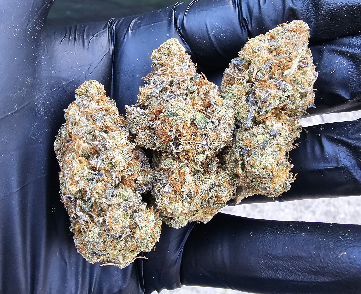 FACE ON FIRE- SOG ARMY FARMS