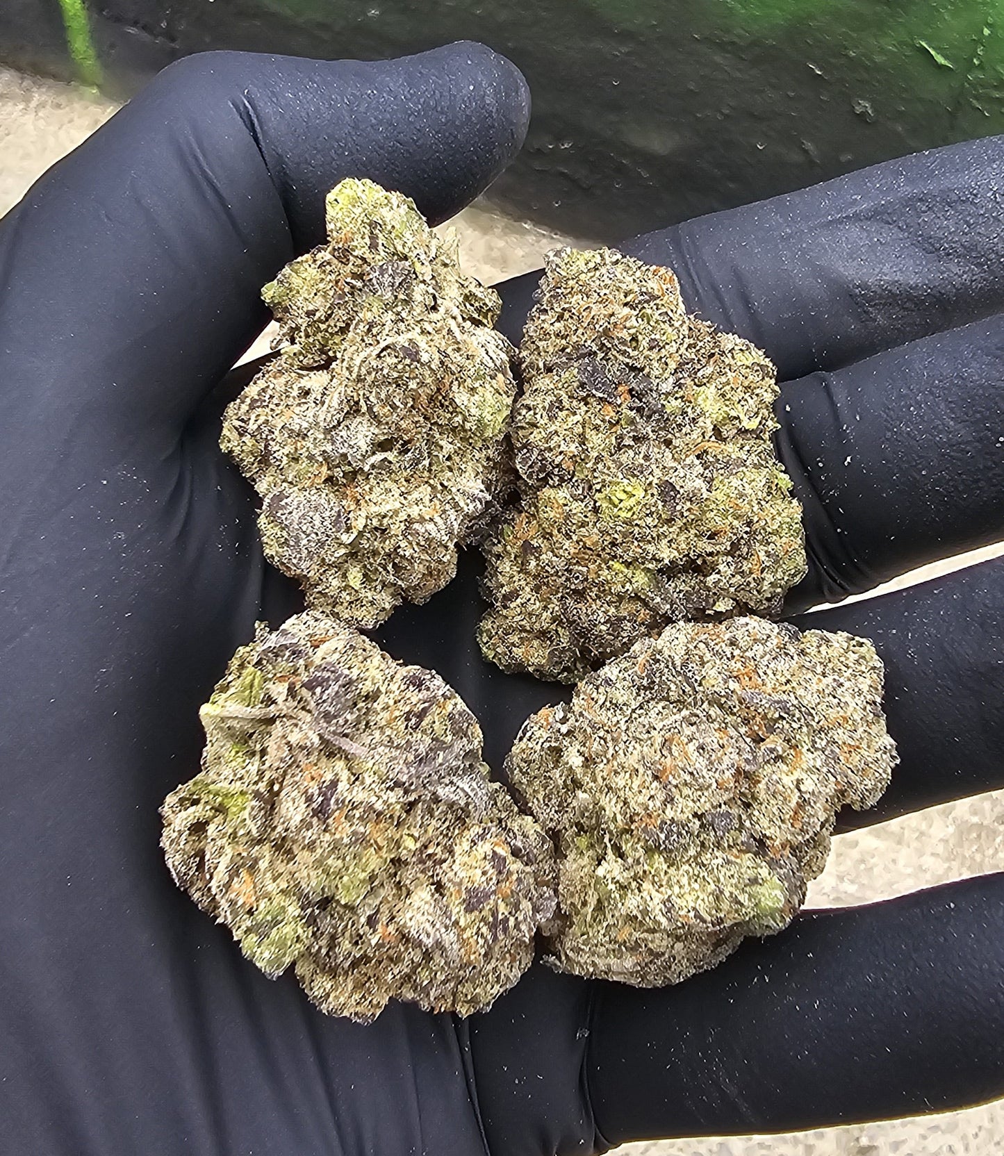 GRAPE CANDY GAS