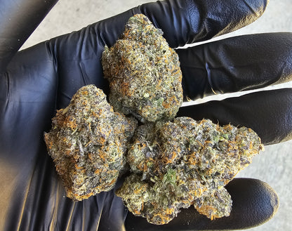 GDP x G41-  SOG ARMY FARMS