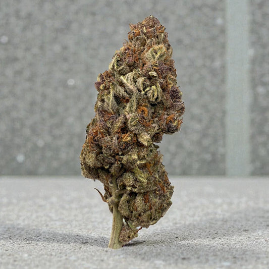 Trop Cherry (GH) 27.76%