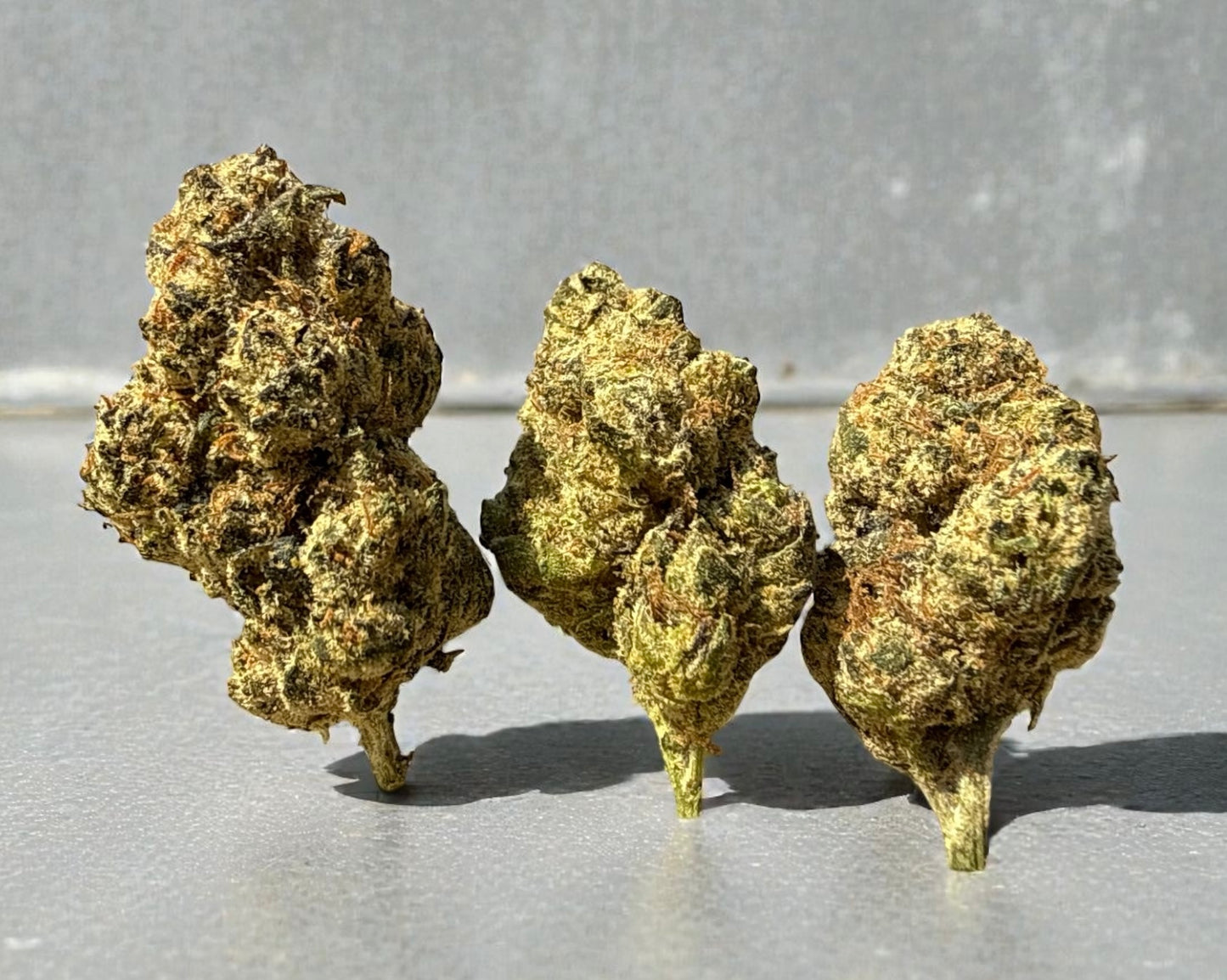 Lemon Cherry Gelato (Indoor)