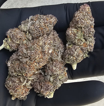 SPEECHLESS Diggity Farms