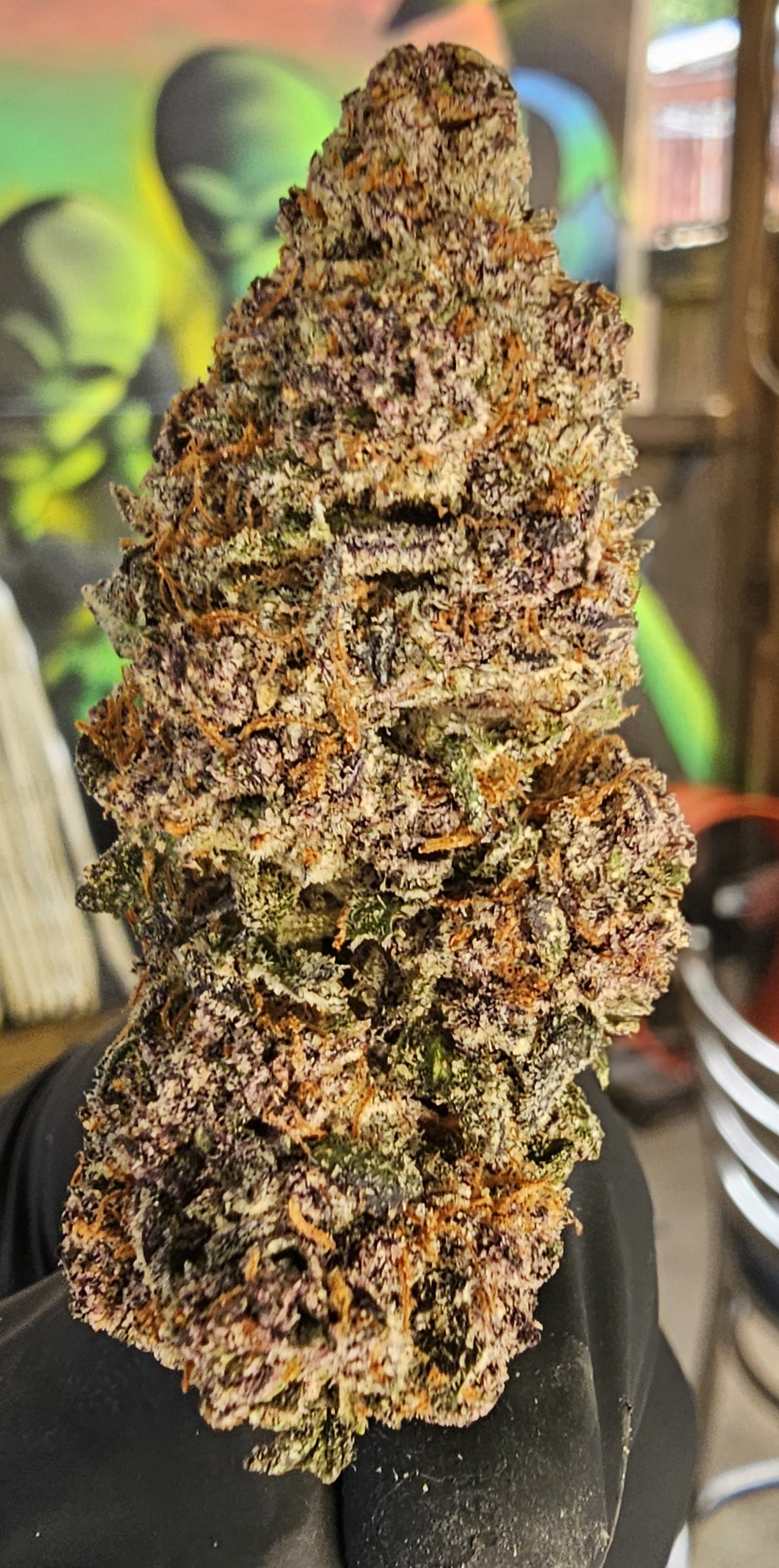 SPEECHLESS Diggity Farms