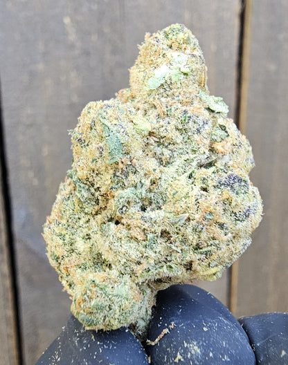 Blumosa- SOG ARMY