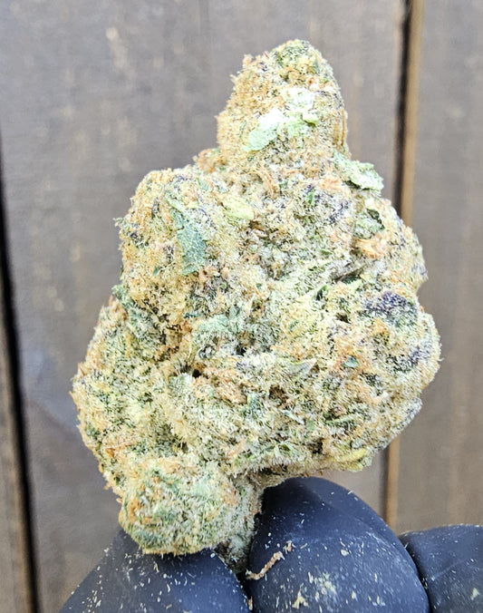 Blumosa- SOG ARMY
