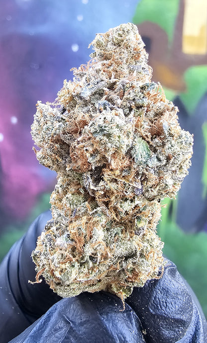 FACE ON FIRE- SOG ARMY FARMS