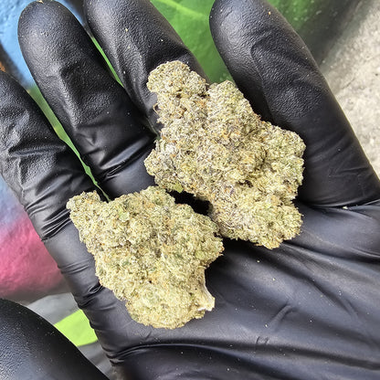 Kush Caviar