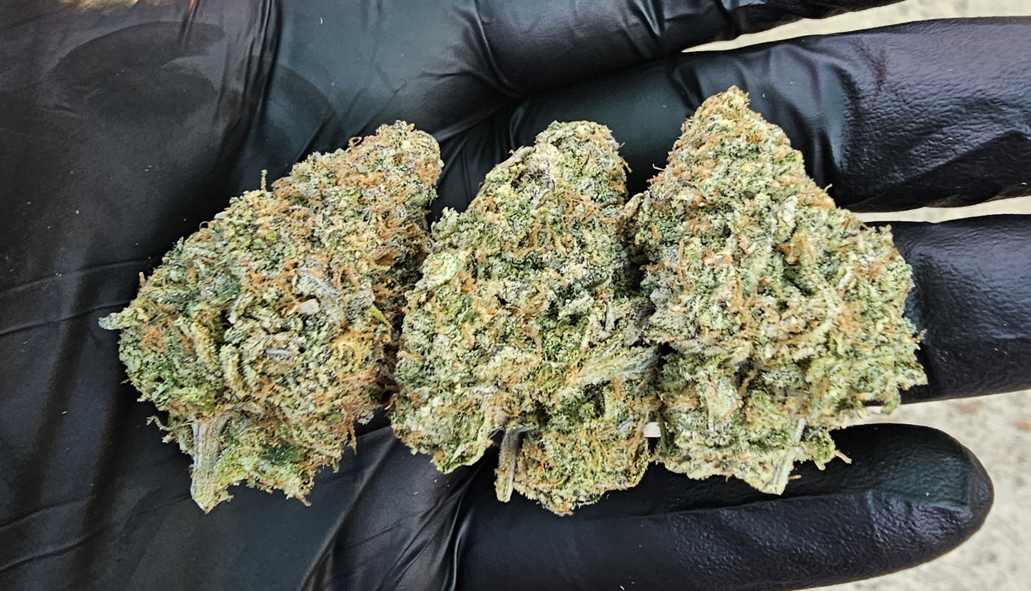 Miracle Fruit-  SOG ARMY FARMS