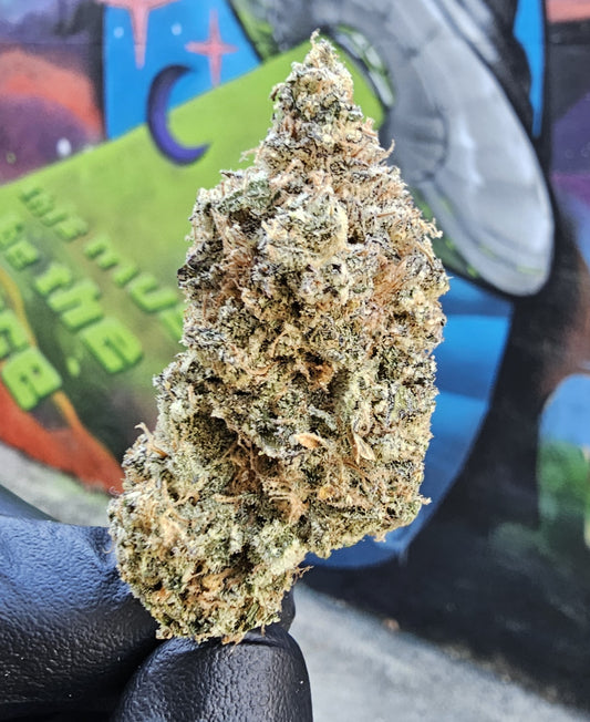 Miracle Fruit-  SOG ARMY FARMS