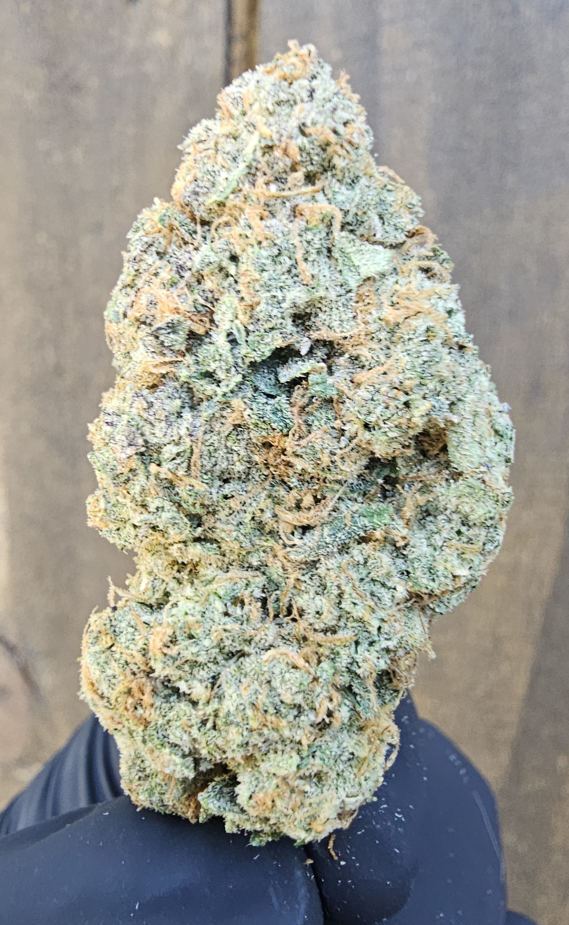 PINK INK #3 SOG ARMY – AALLC