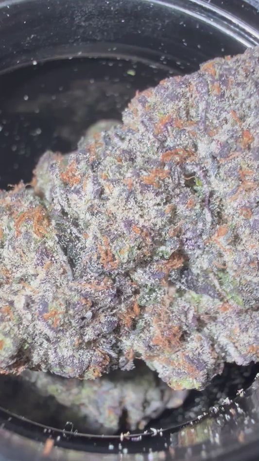 White Runtz (H) Indoor