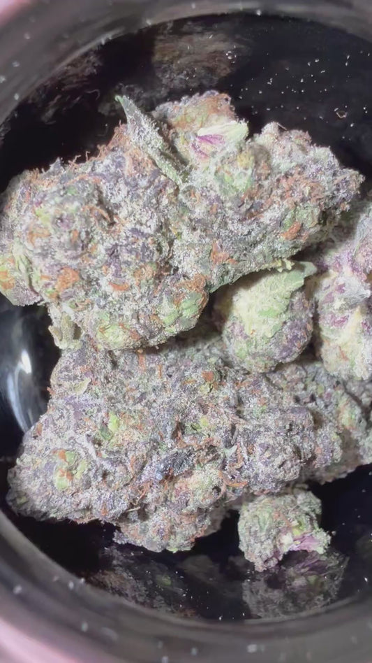 Insane Pound Cake (IH) Indoor