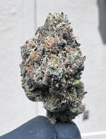 Space Candy- SOG ARMY