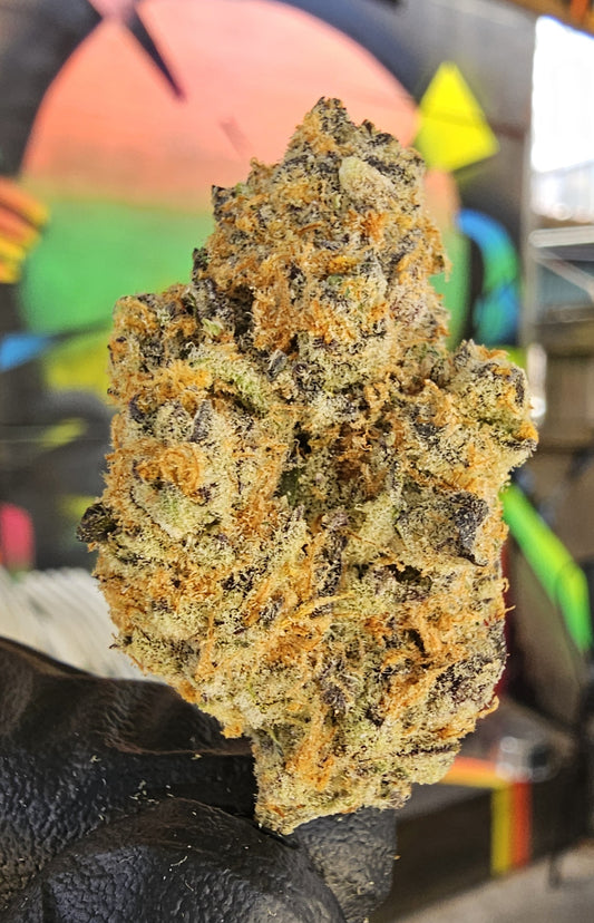 Sundae Sriver- Diggity Farms